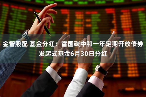金智股配 基金分红：富国碳中和一年定期开放债券发起式基金6月30日分红