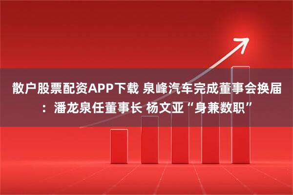 散户股票配资APP下载 泉峰汽车完成董事会换届：潘龙泉任董事长 杨文亚“身兼数职”